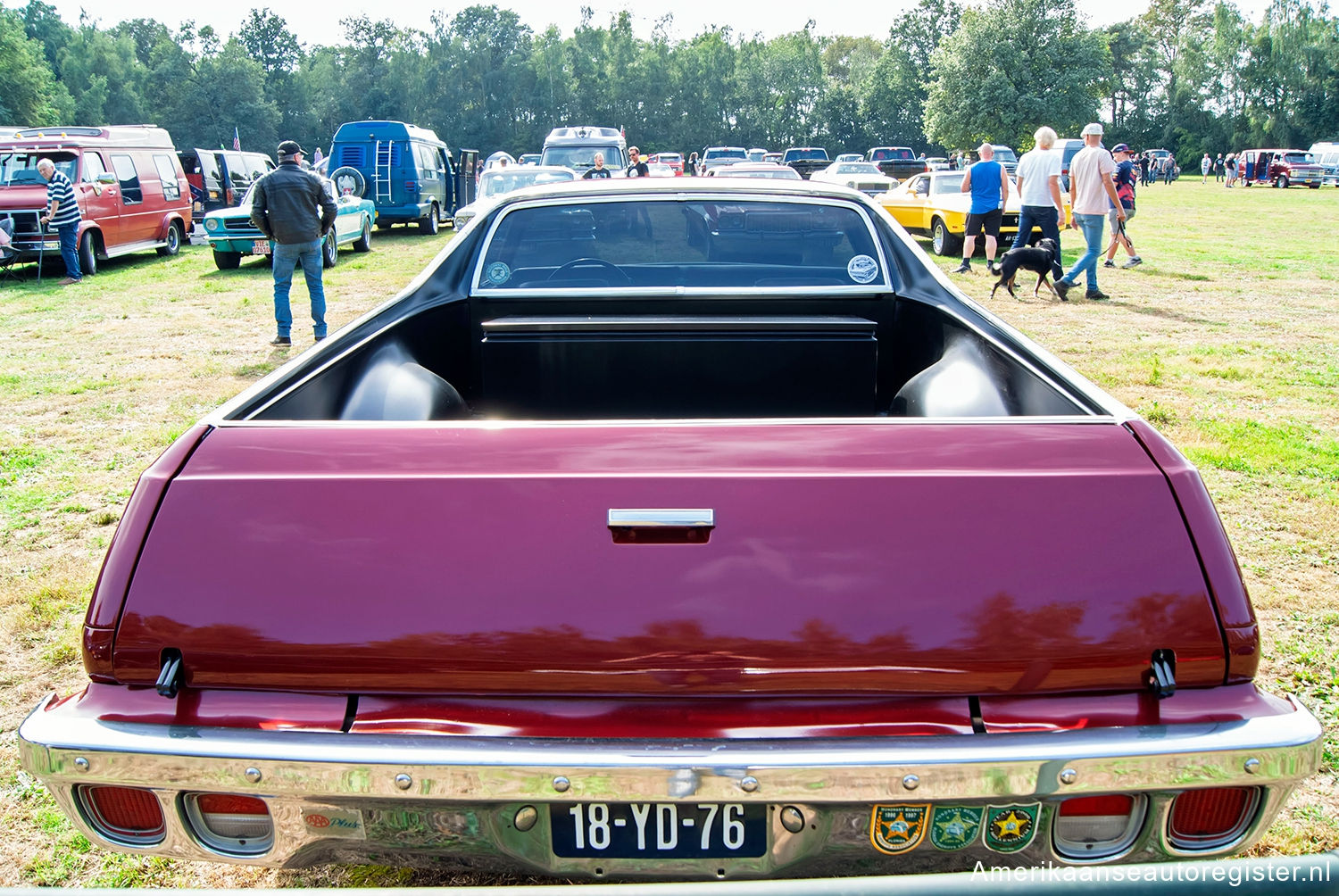 Chevrolet El Camino uit 1973